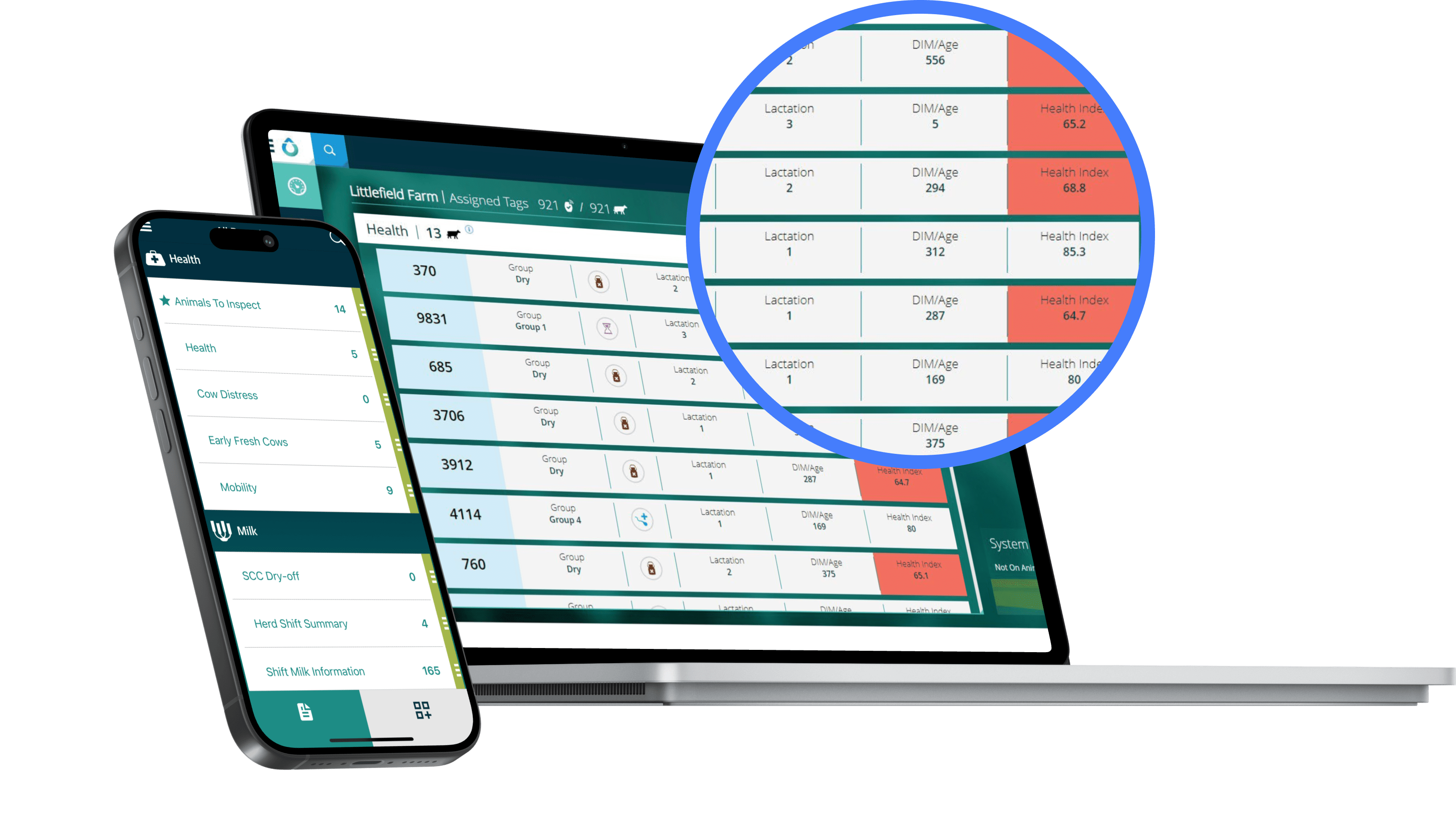 Behaviour Monitoring