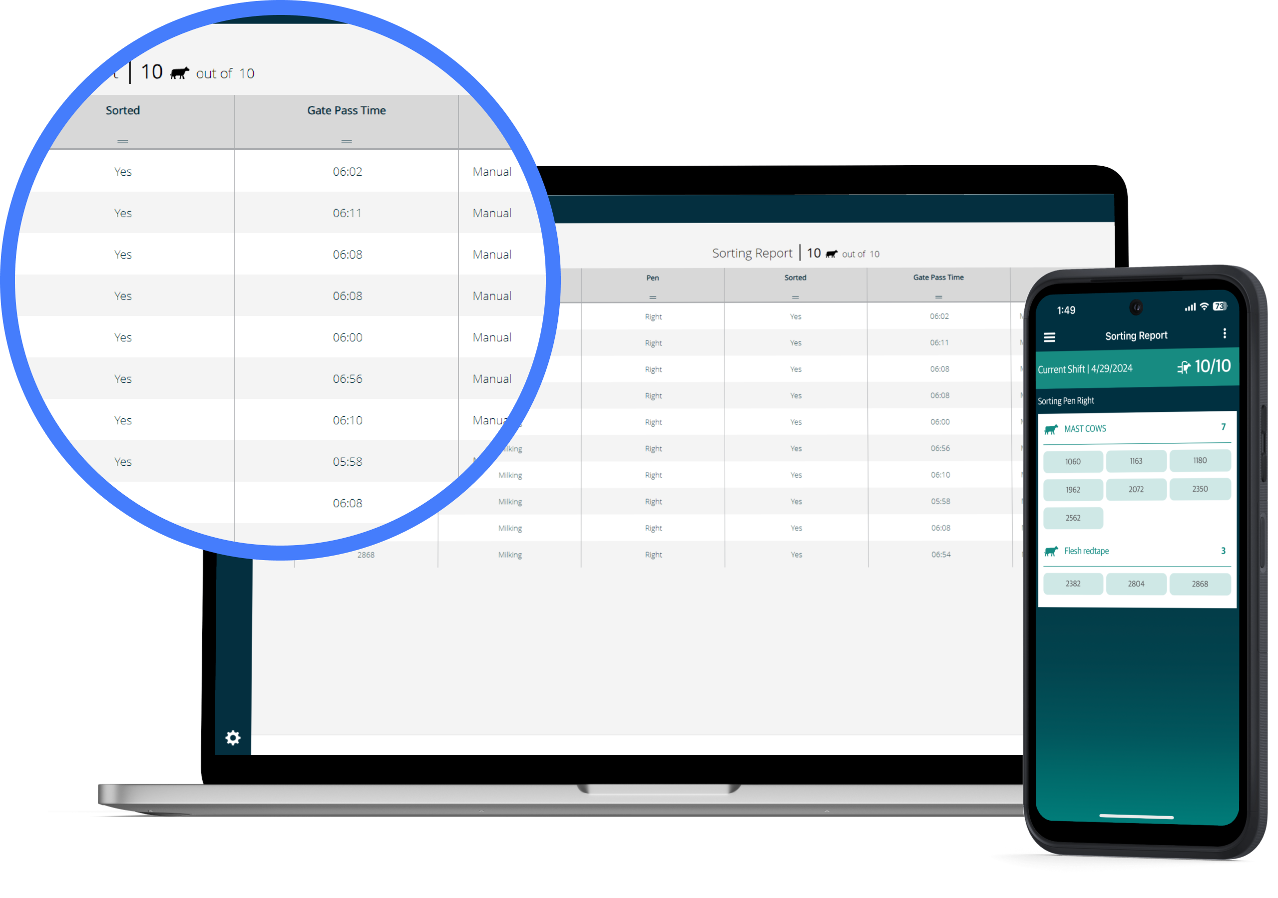 mobile phone and laptop with data