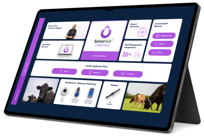 Tablet with sensehub app in purple